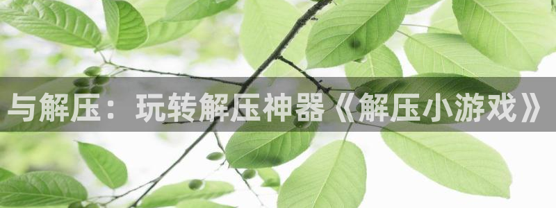 与解压：玩转解压神器《解压小游戏》