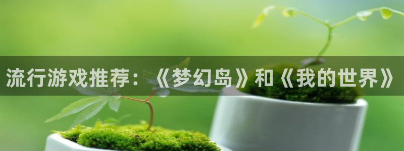 多宝电竞体育官网：流行游戏推荐：《梦幻岛》和《我的世界》