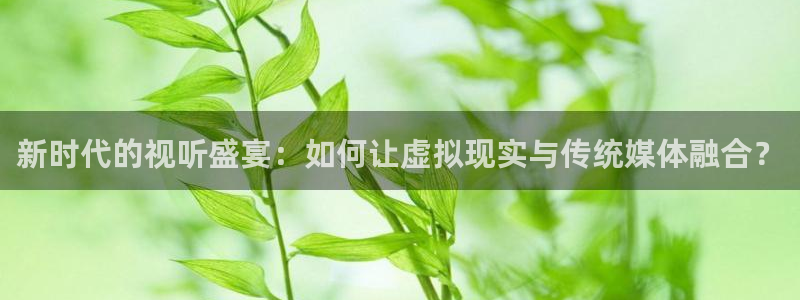 360直播足球直播网：新时代的视听盛宴：如何让虚拟现实与传统媒体融合？