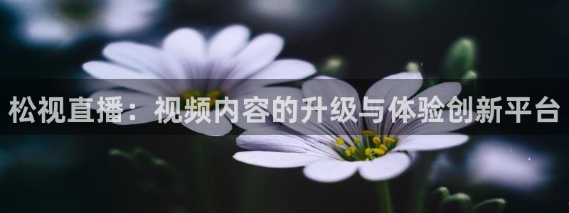 360体育直播无插件高清：松视直播：视频内容的升级与体验创新平台