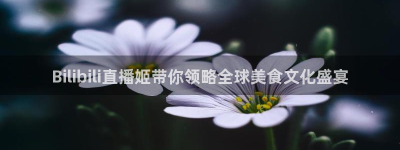360体育在线直播无插件：Bilibili直播姬带你领略全球美食文化盛宴