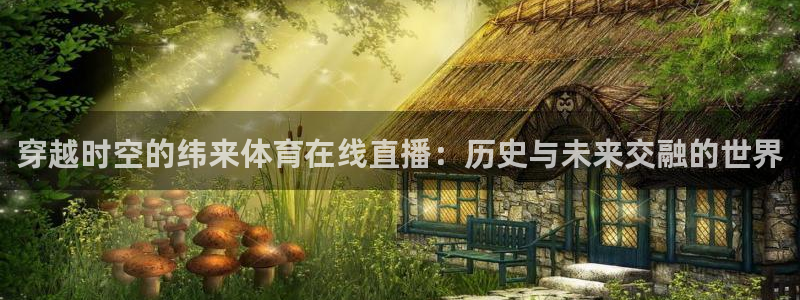 足球直播360直播频道：穿越时空的纬来体育在线直播：历史与未来交融的世界