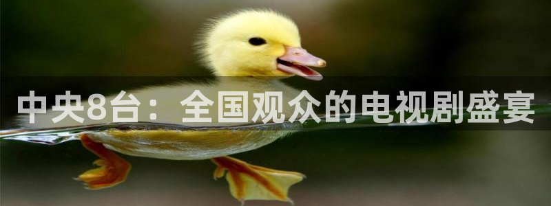 360绿色直播 体育直播：中央8台：全国观众的电视剧盛宴