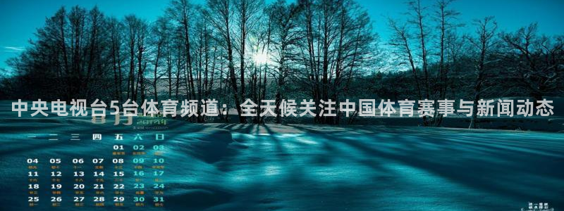雨燕360体育直播高清完整版：中央电视台5台体育频道：全天候关注中国体育赛事与新闻动态