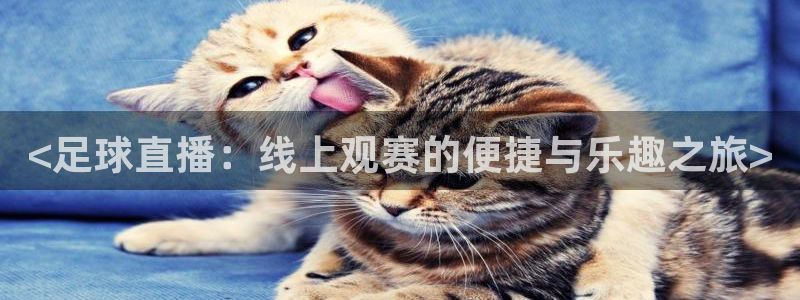 360雨燕无插件高清直播免费：<足球直播：线上观赛的便捷与乐趣之旅>
