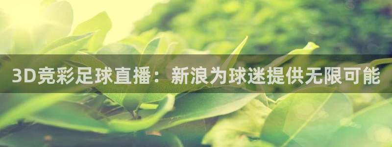 直播360体育直播在线观看：3D竞彩足球直播：新浪为球迷提供无限可能