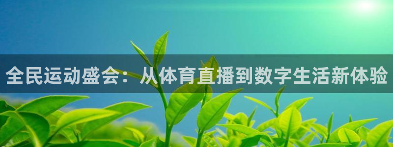 360体育直播网：全民运动盛会：从体育直播到数字生活新体验