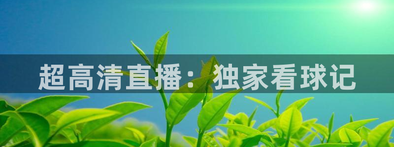 360雨燕直播吧免费直播：超高清直播：独家看球记