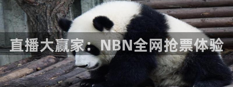雨燕360体育最新更新内容：直播大赢家：NBN全网抢票体验