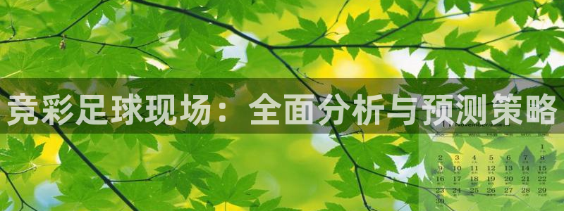 足球直播360：竞彩足球现场：全面分析与预测策略
