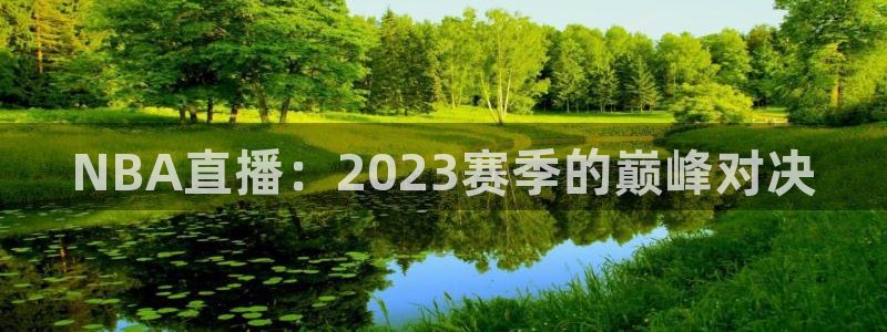 360体育直播免费直播视频：NBA直播：2023赛季的巅峰对决