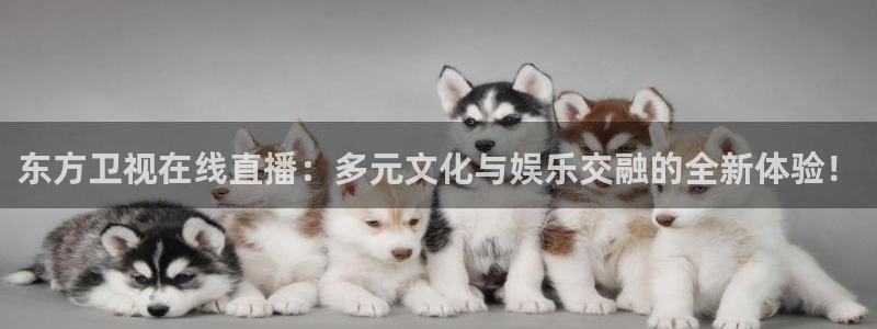 雨燕360体育免费直播nba下载：东方卫视在线直播：多元文化与娱乐交融的全新体验！