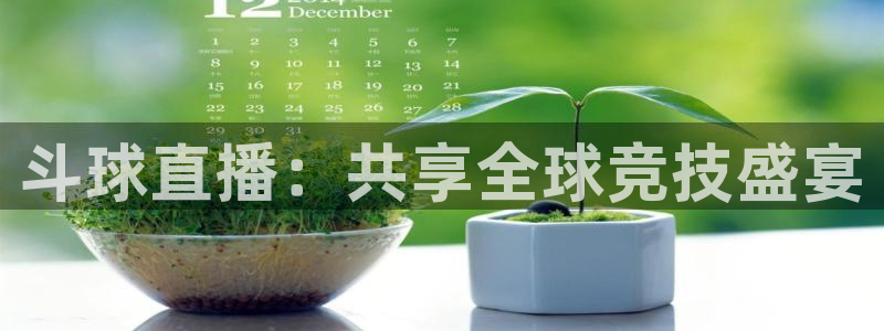 360体育直播免费观看：斗球直播：共享全球竞技盛宴