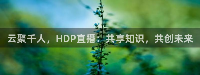 山东体育360足球直播在线观看：云聚千人，HDP直播：共享知识，共创未来