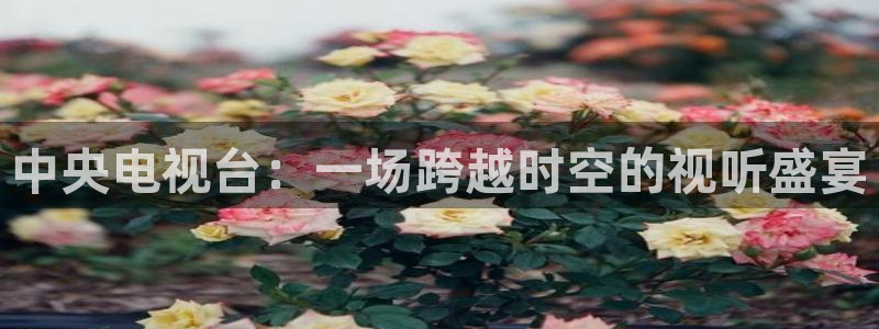 雨燕360体育直播大厅购彩.最新的页面.top：中央电视台：一场跨越时空的视听盛宴