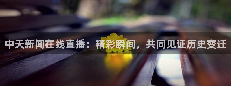 360体育直播无插件高清