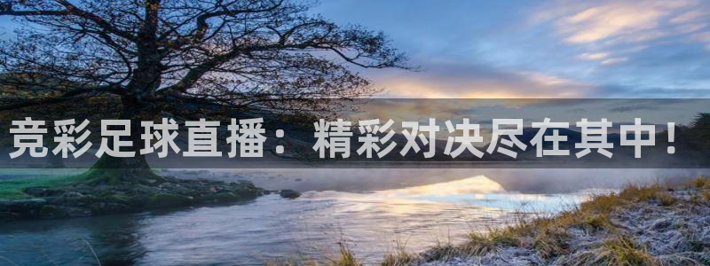 360直播体育直播nba直播