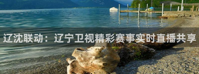 360体育足球雨燕直播：辽沈联动：辽宁卫视精彩赛事实时直播共享