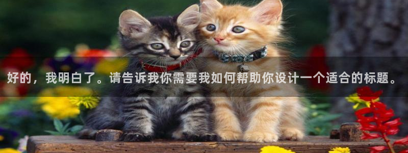 360体育直播网站：好的，我明白了。请告诉我你需要我如何帮助你设计一个适合的标题。